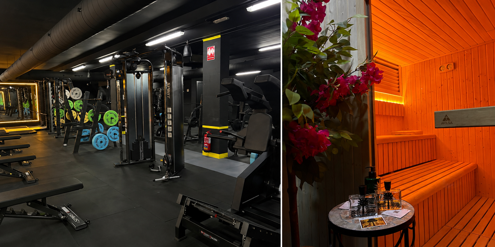 Instal·lacions de Dario Gym